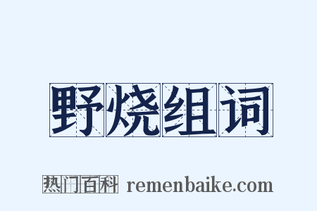 野烧组词是什么意思的图片